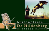 Hildenberg